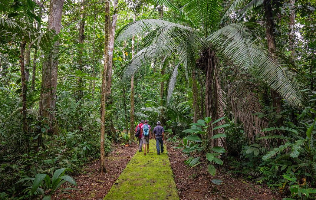 6 Gateway Cities For Your Luxury Amazon Rainforest Tour