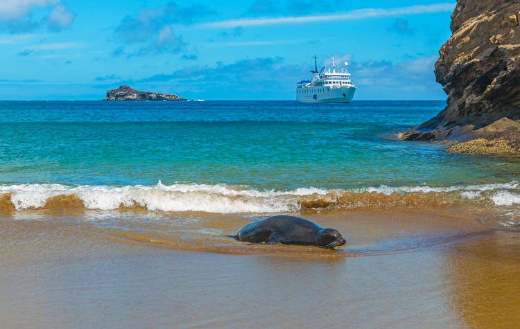 Galapagos Cruises Tours