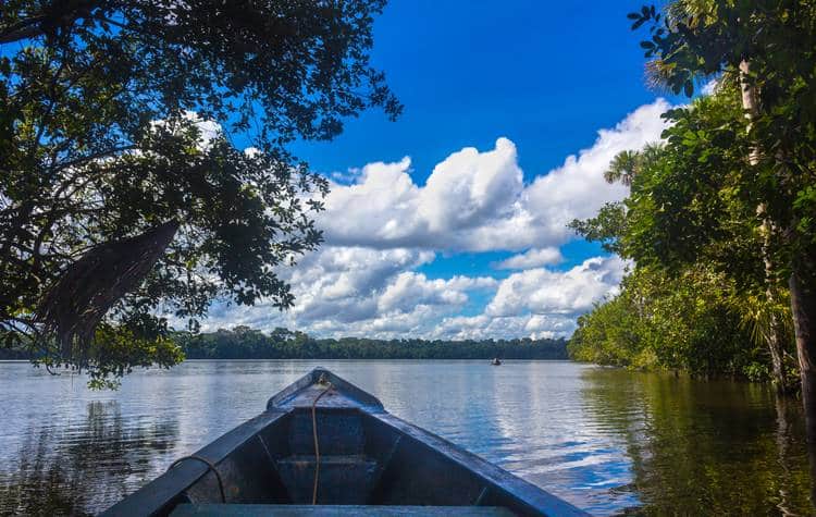 Puerto Maldonado Peru Amazon