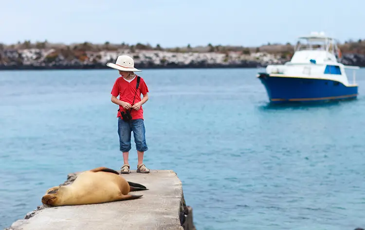 Route Design Within the Best Galapagos Cruises