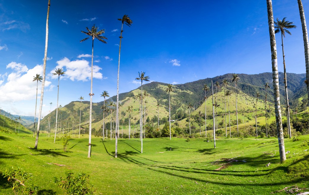 Top 4 Colombia Wellness Escapes