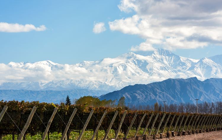 Maipo Valley Wine Regions In South America