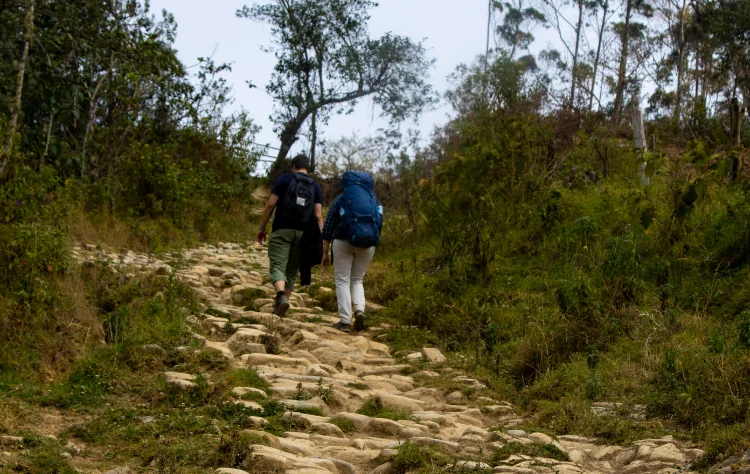 Northern Peru as Cultural Counterpoint