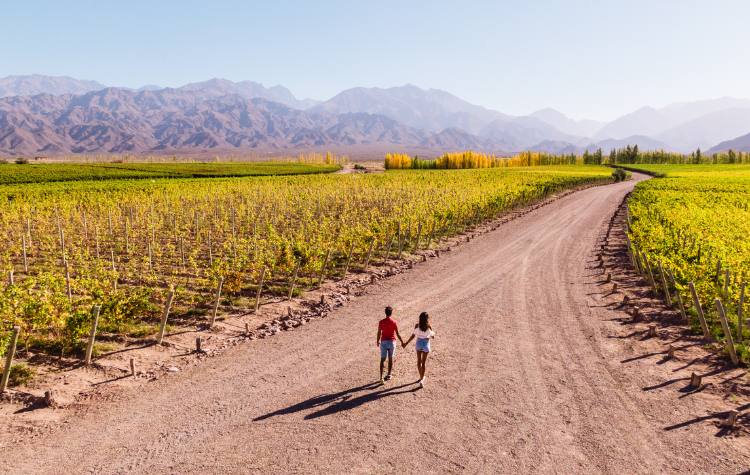 Take a Private Tour of Argentina’s Vineyards