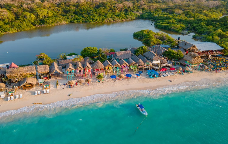 Barú Subtle Refinemen