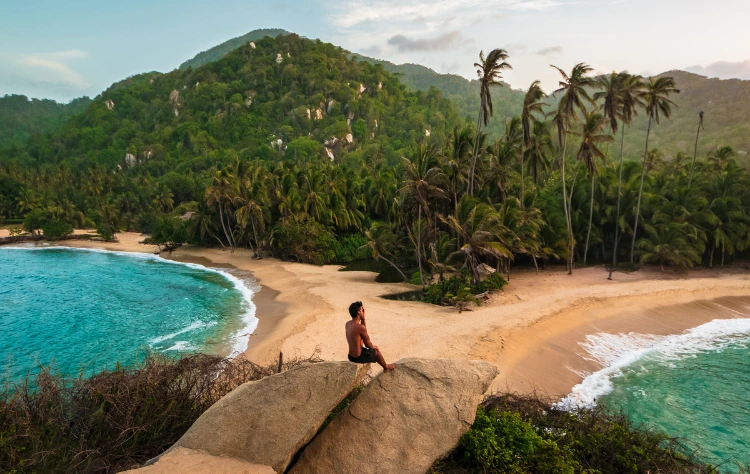 Tayrona Jungle Meets Sea