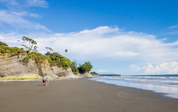 The Pacific Coast Remote and Untamed