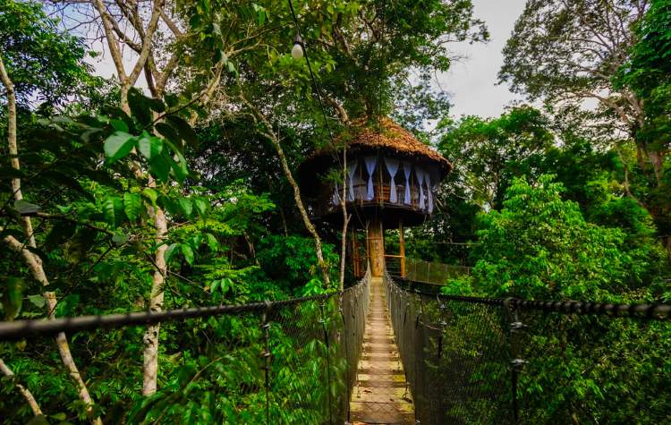 Treehouse Lodge - Iquitos Peru