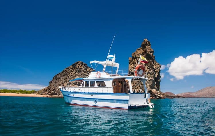 Best Time For Cruising around the Galapagos Islands