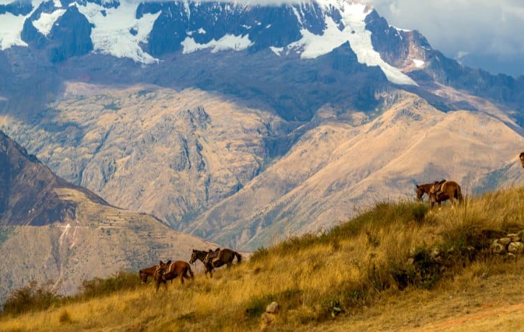Romantic Peruvian Paso Horse Ride in Moray