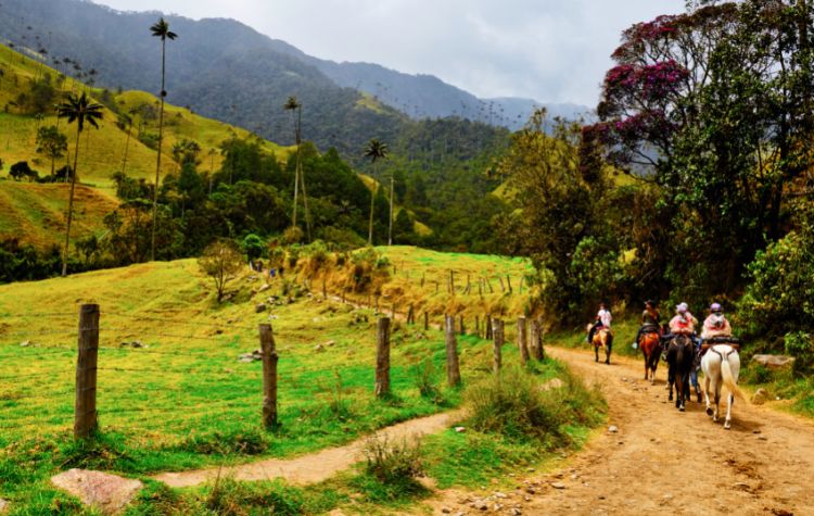 Take A Coffee Farm Tour In The Cocora Valley