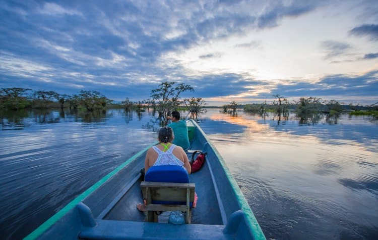 Explore The Amazon Rainforest
