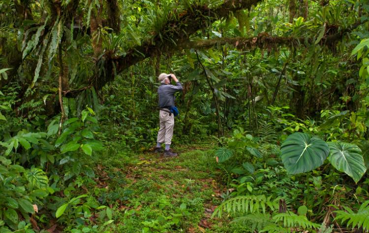 Go Trekking In The Mindo Cloud Forest