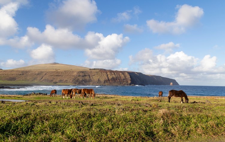 Explore the Rapa Nui National Park
