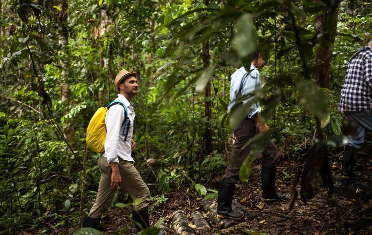 Indulge in the Amazon Rainforest