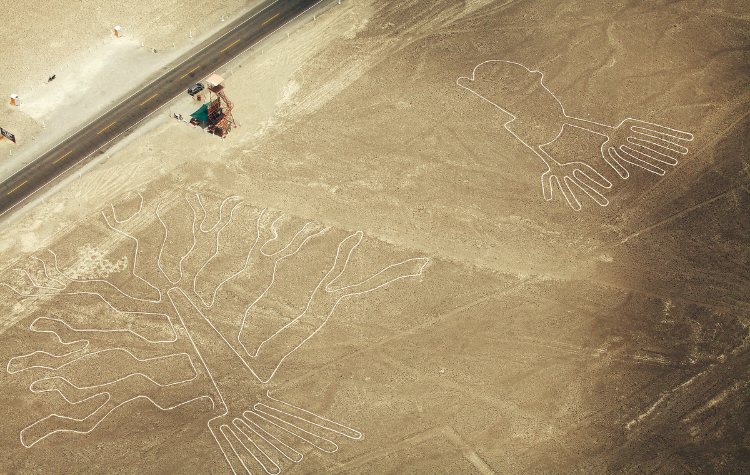 Marvel at the Nazca Lines