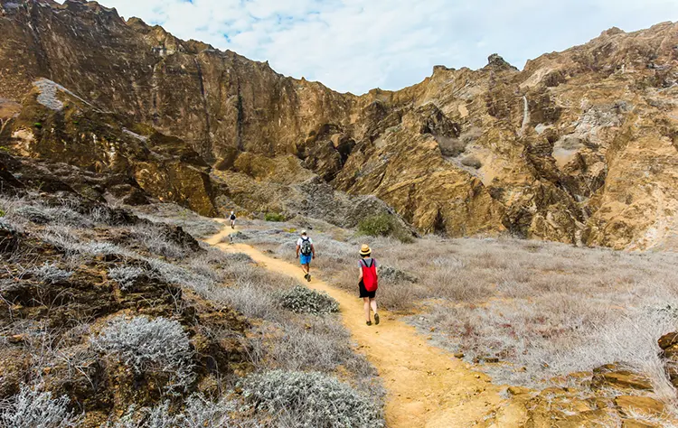 Rethinking a Galapagos Honeymoon