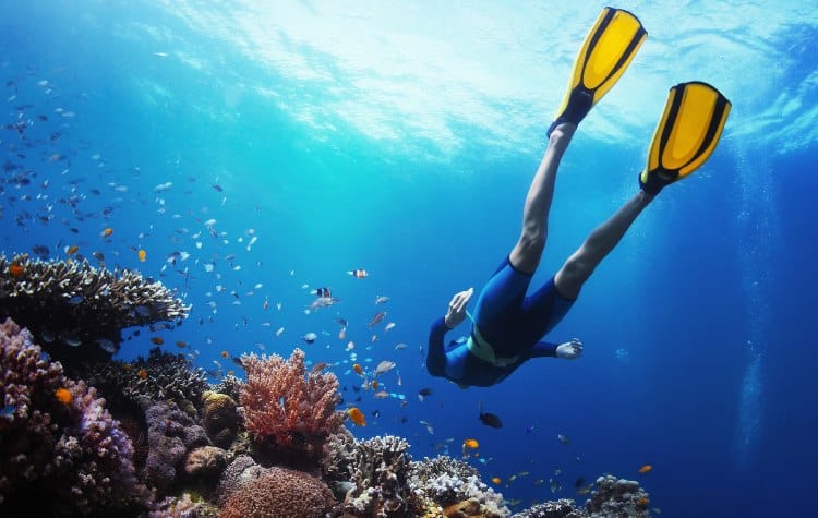 Swim And Snorkel In The Crystal-Clear Waters