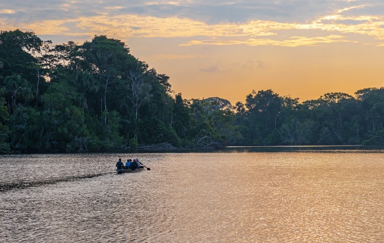 Things to Do in Ecuador Amazon