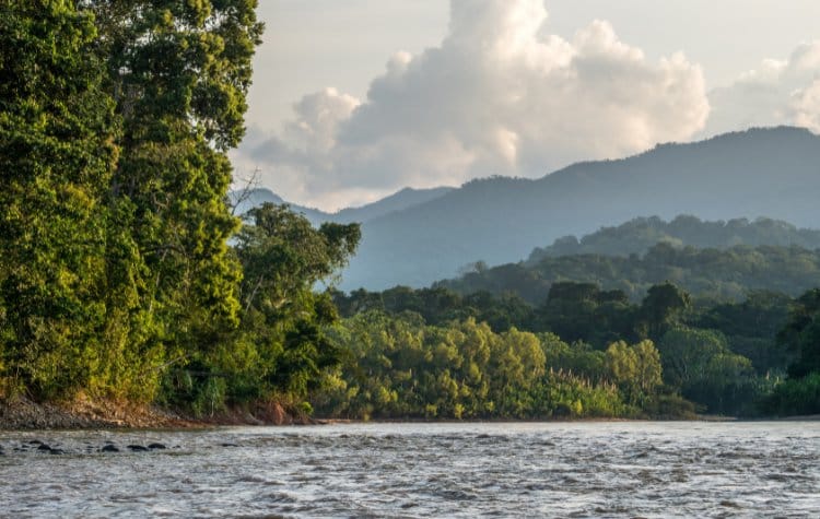 Set Sail On A Riverboat Excursion In Madidi National Park