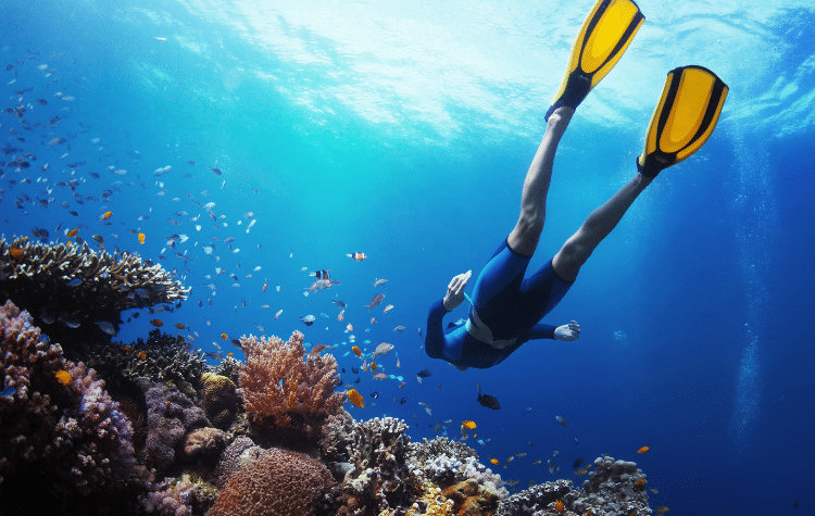 Dive Underwater With A Snorkeling Adventure In San Andres