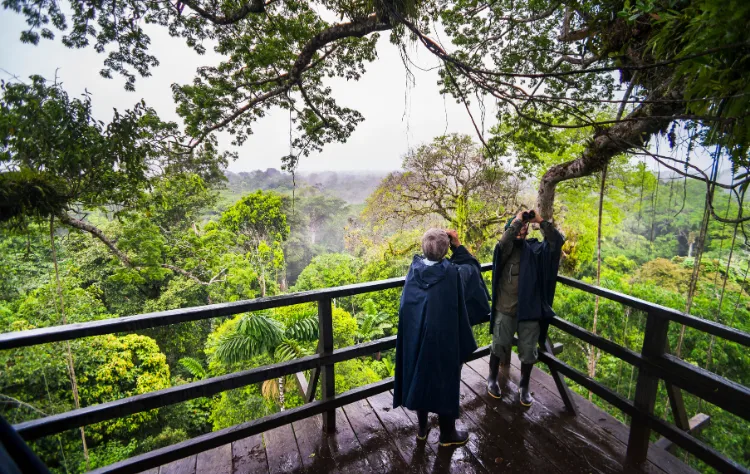 The Amazon Basin Ecological Immersion