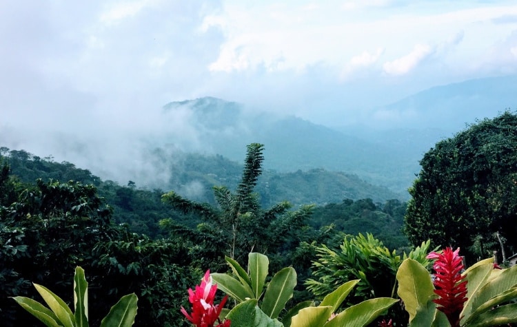 Uncover Minca, Colombia’s Hidden Gem For Adventure