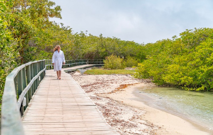 Kuoda’s Guide To A Wellness Retreat in the Galapagos Islands