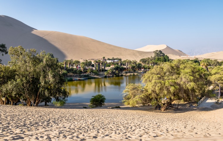 Photography_ Capturing the Essence of Huacachina