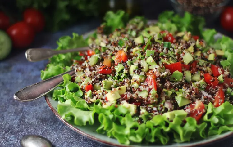 Understanding Lima Through a Plant Based Perspective