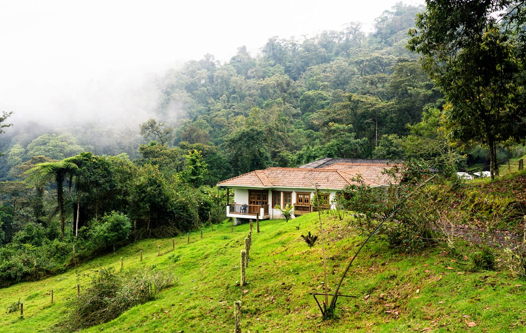5 Ways To Experience Sustainable Travel To Colombia-2
