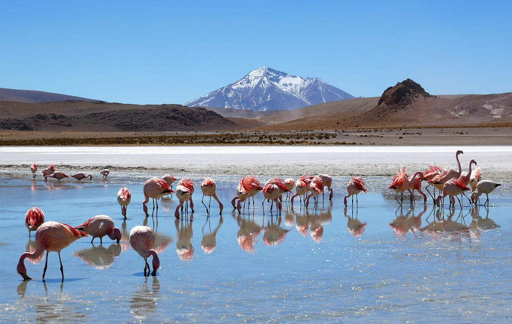 Bolivia Bucket List 2023_ 12 Things to See & Do-2