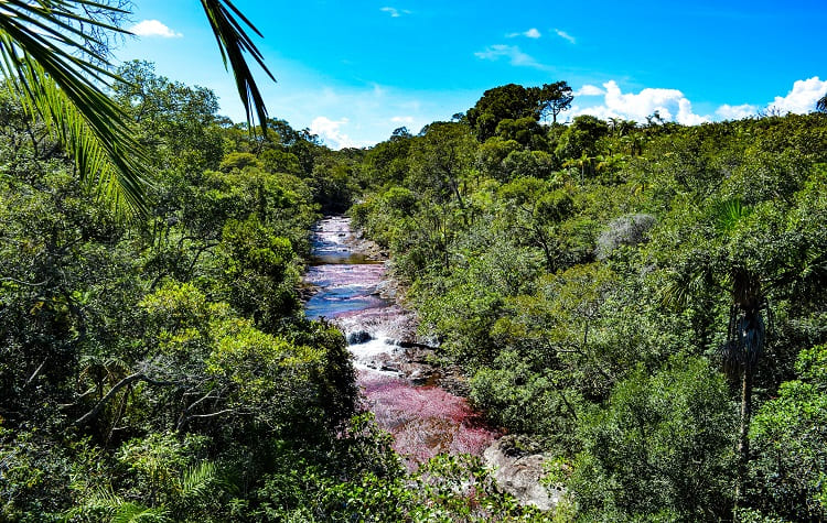 Canoeing Through Canos Cristales