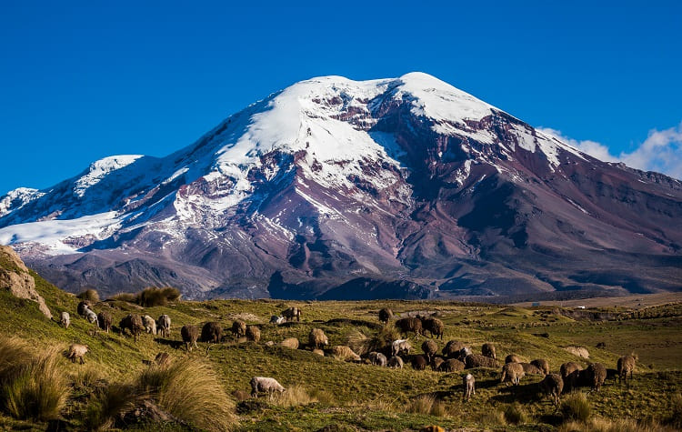 Climb To The Top Of Chimborazo Volcano