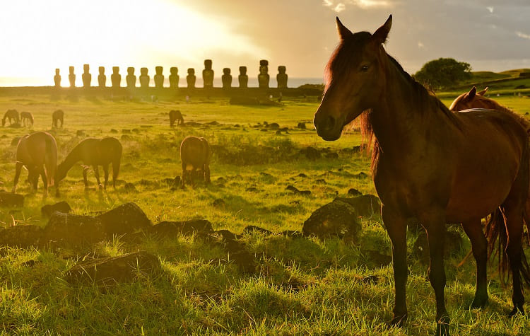 FAQS ABOUT EASTER ISLAND