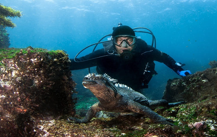 Galapagos Scuba Diving