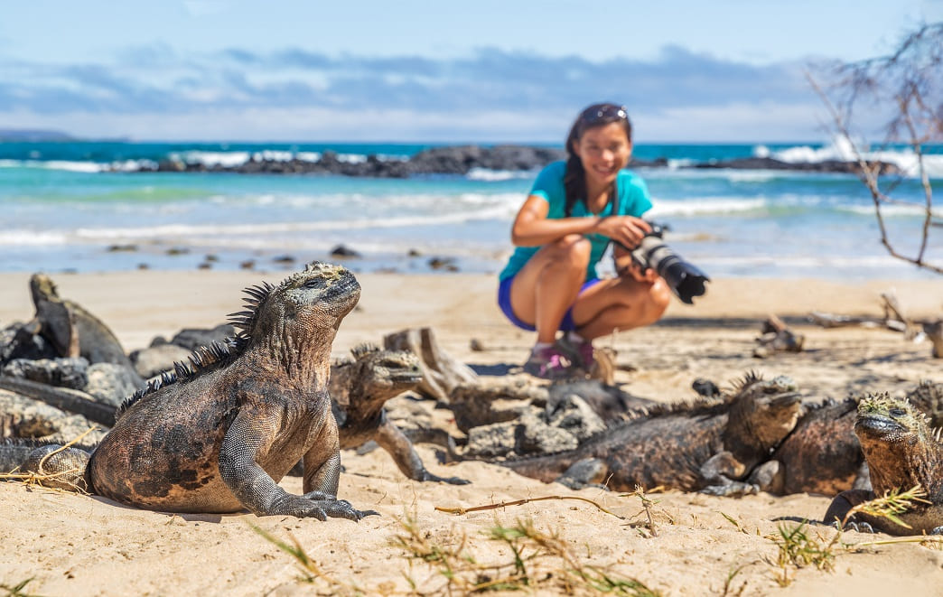 How to Have an Unforgettable Galapagos Honeymoon: The Best Plan to Get You There