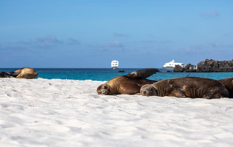 IF YOU WANT TO VISIT THE GALAPAGOS ISLANDS