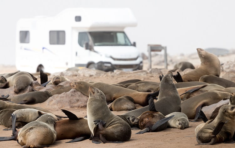 Pick Family-Friendly Accommodations, source galapagos camp