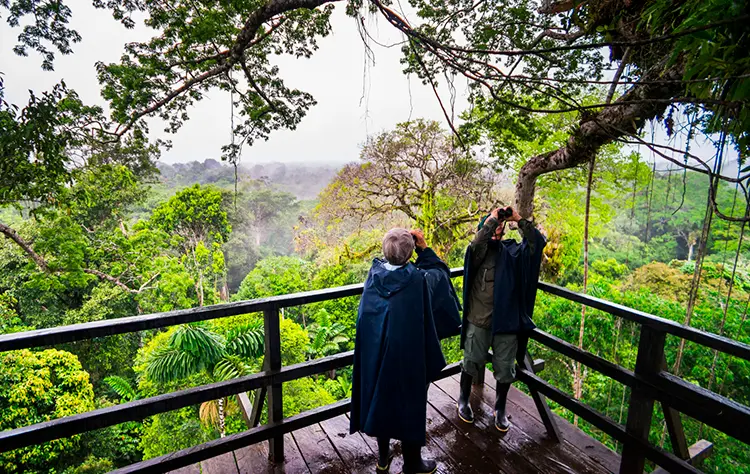 The Amazon A Different Kind of Connection