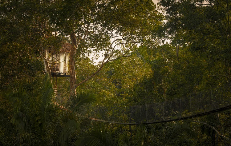 The Treehouse Lodge In Iquitos