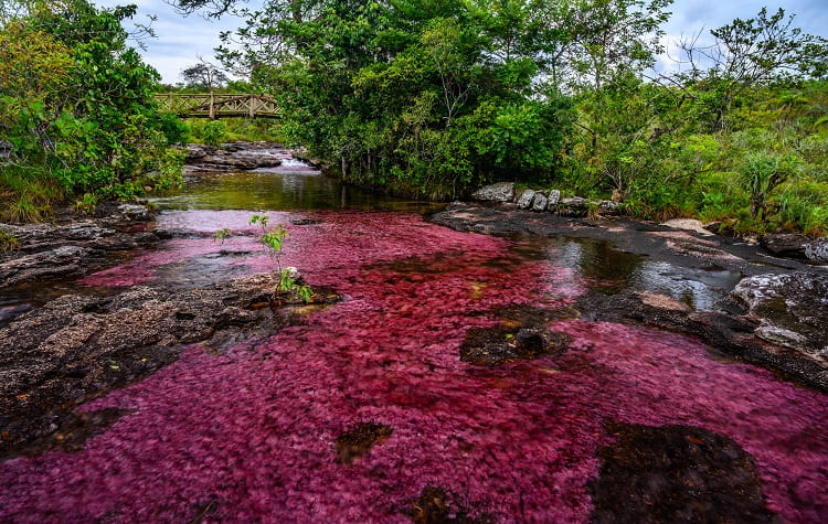 Wander Colombia’s best national parks for an immersive nature lesson