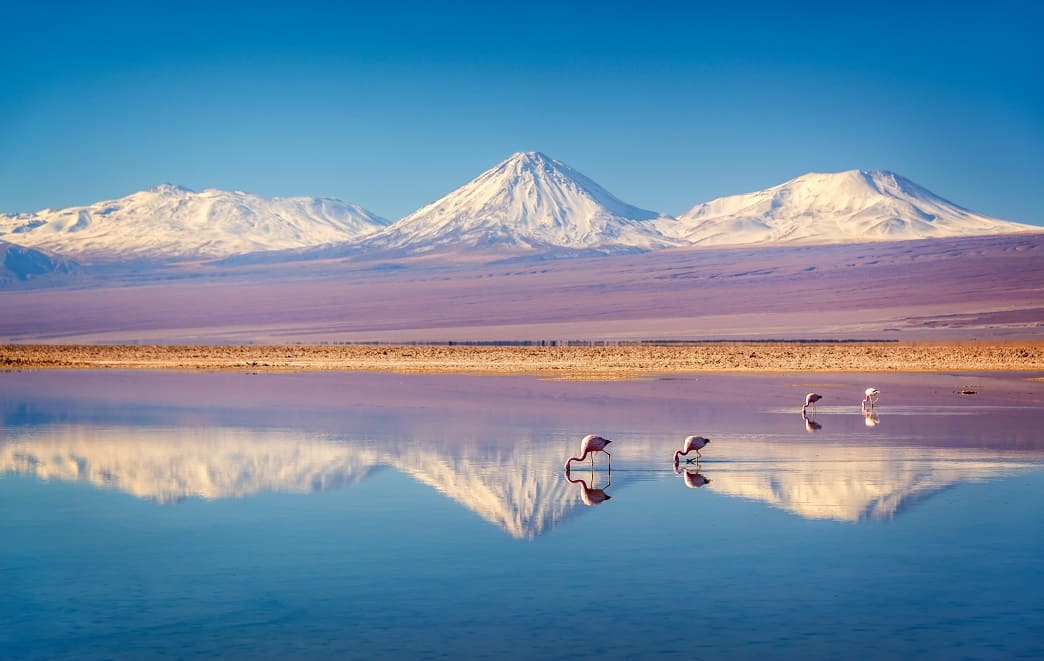 Wanderlust in the Land of Poets Top Five Bucket List Destinations in Chile!