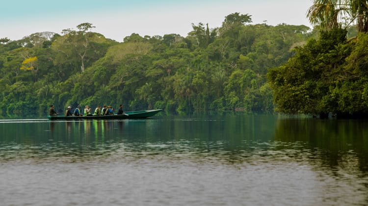 Reserva Nacional Tambopata