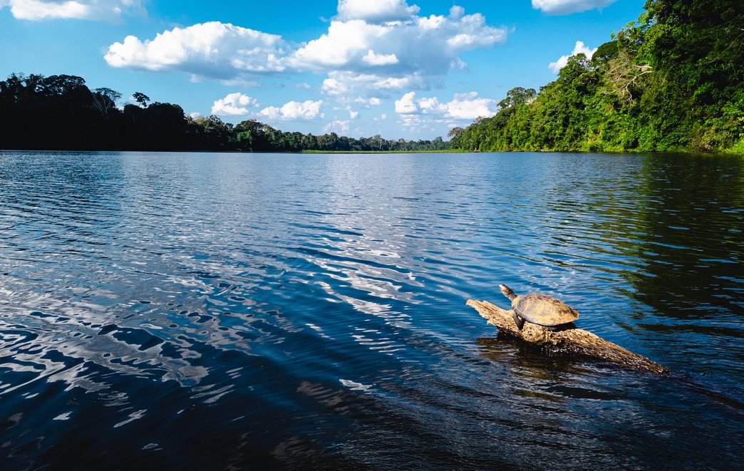 Ultimate-Tambopata-Travel-Guide