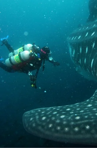 Ecuador Travel Itinerary