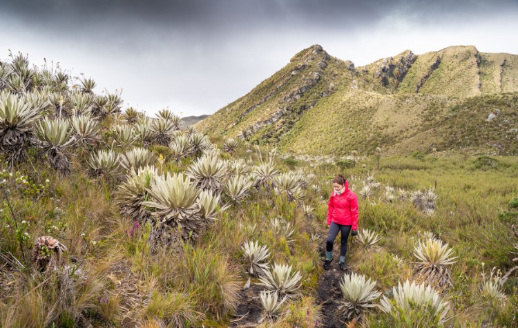 The Andes Colombia Travel