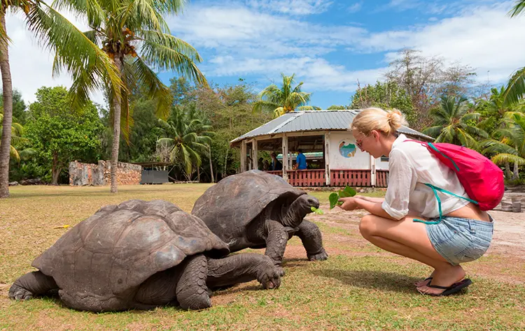 What Defines a Luxury Cruise Galapagos Experience