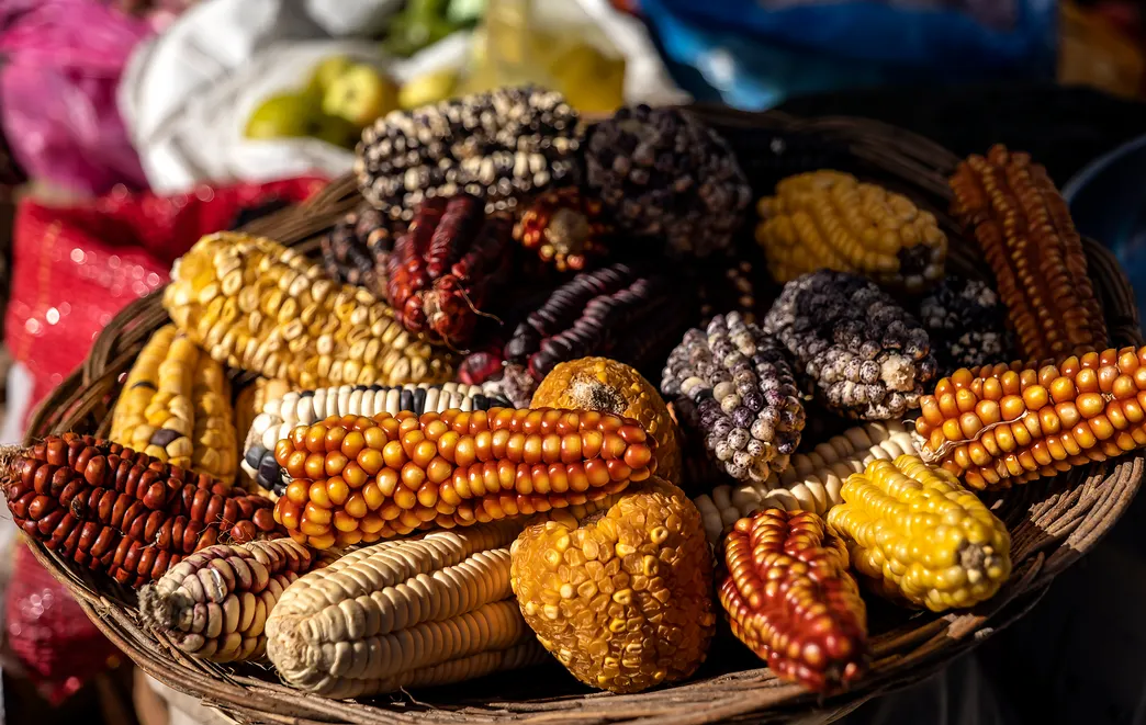 Peruvian Superfoods Ancient Nutrition