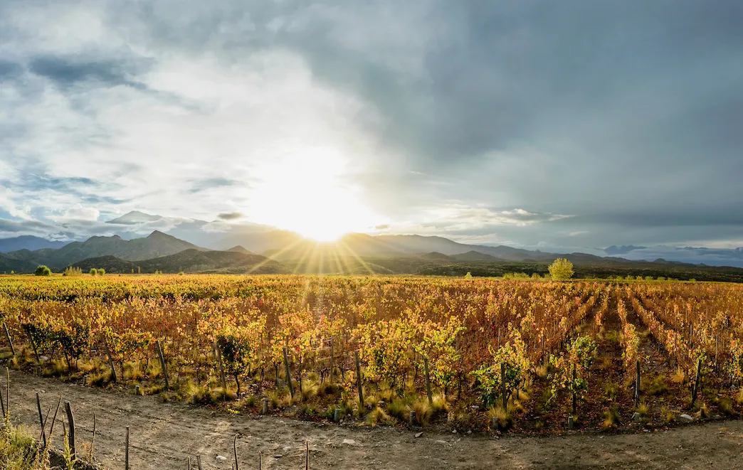 Argentina Culinary Journey Savor the Soul of a Nation